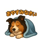 シェルティ大好き②（個別スタンプ：3）