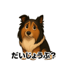 シェルティ大好き②（個別スタンプ：6）