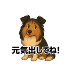 シェルティ大好き②（個別スタンプ：7）