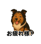 シェルティ大好き②（個別スタンプ：8）