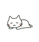 しろねこニャンニャン（個別スタンプ：16）