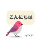 敬語/丁寧語 小鳥のスタンプ（個別スタンプ：2）