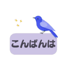 敬語/丁寧語 小鳥のスタンプ（個別スタンプ：3）
