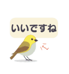 敬語/丁寧語 小鳥のスタンプ（個別スタンプ：9）