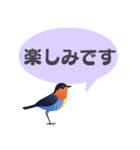 敬語/丁寧語 小鳥のスタンプ（個別スタンプ：10）