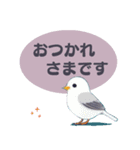 敬語/丁寧語 小鳥のスタンプ（個別スタンプ：11）