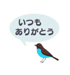 敬語/丁寧語 小鳥のスタンプ（個別スタンプ：14）