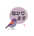 敬語/丁寧語 小鳥のスタンプ（個別スタンプ：15）