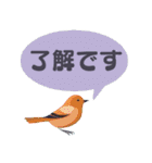 敬語/丁寧語 小鳥のスタンプ（個別スタンプ：17）