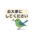 敬語/丁寧語 小鳥のスタンプ（個別スタンプ：22）