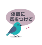 敬語/丁寧語 小鳥のスタンプ（個別スタンプ：23）