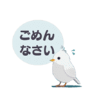 敬語/丁寧語 小鳥のスタンプ（個別スタンプ：27）