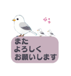 敬語/丁寧語 小鳥のスタンプ（個別スタンプ：29）