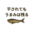 煮干しは語りたい（個別スタンプ：4）