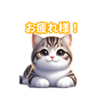 とにかくかわいいスコティッシュストレート（個別スタンプ：1）