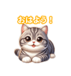 とにかくかわいいスコティッシュストレート（個別スタンプ：2）
