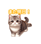とにかくかわいいスコティッシュストレート（個別スタンプ：5）
