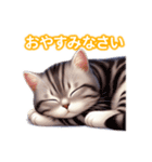 とにかくかわいいスコティッシュストレート（個別スタンプ：6）