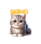 とにかくかわいいスコティッシュストレート（個別スタンプ：9）