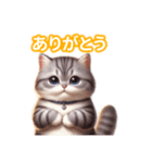 とにかくかわいいスコティッシュストレート（個別スタンプ：12）