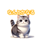 とにかくかわいいスコティッシュストレート（個別スタンプ：16）