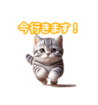 とにかくかわいいスコティッシュストレート（個別スタンプ：17）