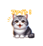 とにかくかわいいスコティッシュストレート（個別スタンプ：23）