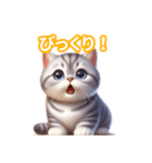 とにかくかわいいスコティッシュストレート（個別スタンプ：27）