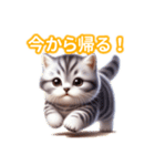 とにかくかわいいスコティッシュストレート（個別スタンプ：36）
