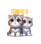 とにかくかわいいスコティッシュストレート（個別スタンプ：37）