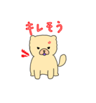 チャウチャウのこゆぞう4（個別スタンプ：1）