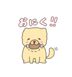 チャウチャウのこゆぞう4（個別スタンプ：6）