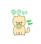チャウチャウのこゆぞう4（個別スタンプ：8）
