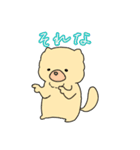 チャウチャウのこゆぞう4（個別スタンプ：13）