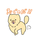 チャウチャウのこゆぞう4（個別スタンプ：20）