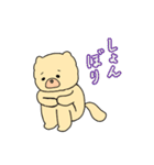 チャウチャウのこゆぞう4（個別スタンプ：23）