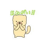チャウチャウのこゆぞう4（個別スタンプ：24）