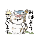 動くシーズー犬2025『五月から梅雨』10（個別スタンプ：1）
