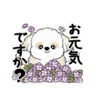 動くシーズー犬2025『五月から梅雨』10（個別スタンプ：2）