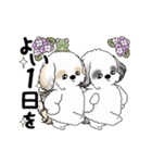 動くシーズー犬2025『五月から梅雨』10（個別スタンプ：3）