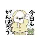 動くシーズー犬2025『五月から梅雨』10（個別スタンプ：4）