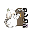 動くシーズー犬2025『五月から梅雨』10（個別スタンプ：5）