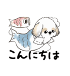 動くシーズー犬2025『五月から梅雨』10（個別スタンプ：6）