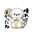 動くシーズー犬2025『五月から梅雨』10（個別スタンプ：7）