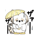 動くシーズー犬2025『五月から梅雨』10（個別スタンプ：12）