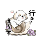 動くシーズー犬2025『五月から梅雨』10（個別スタンプ：13）