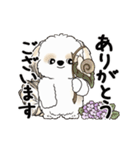 動くシーズー犬2025『五月から梅雨』10（個別スタンプ：15）