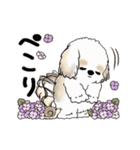 動くシーズー犬2025『五月から梅雨』10（個別スタンプ：16）