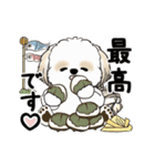 動くシーズー犬2025『五月から梅雨』10（個別スタンプ：19）