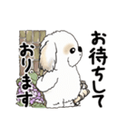 動くシーズー犬2025『五月から梅雨』10（個別スタンプ：21）